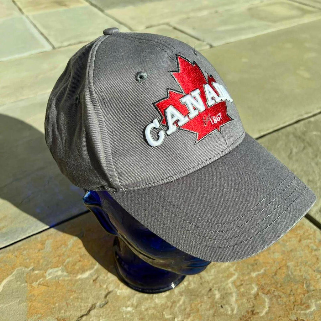 Y2K Canada Niagara Parks Embroidered Strapback Hat grey