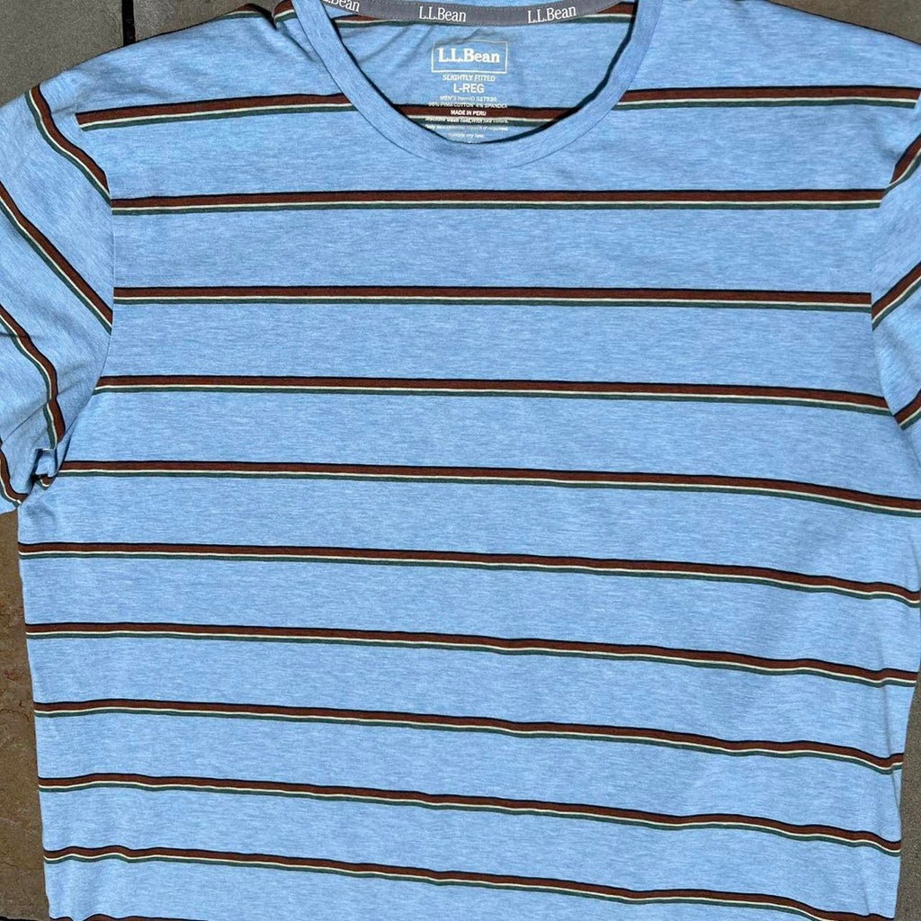 Light Blue Heather Varied Stripe Pima Cotton T-shirt