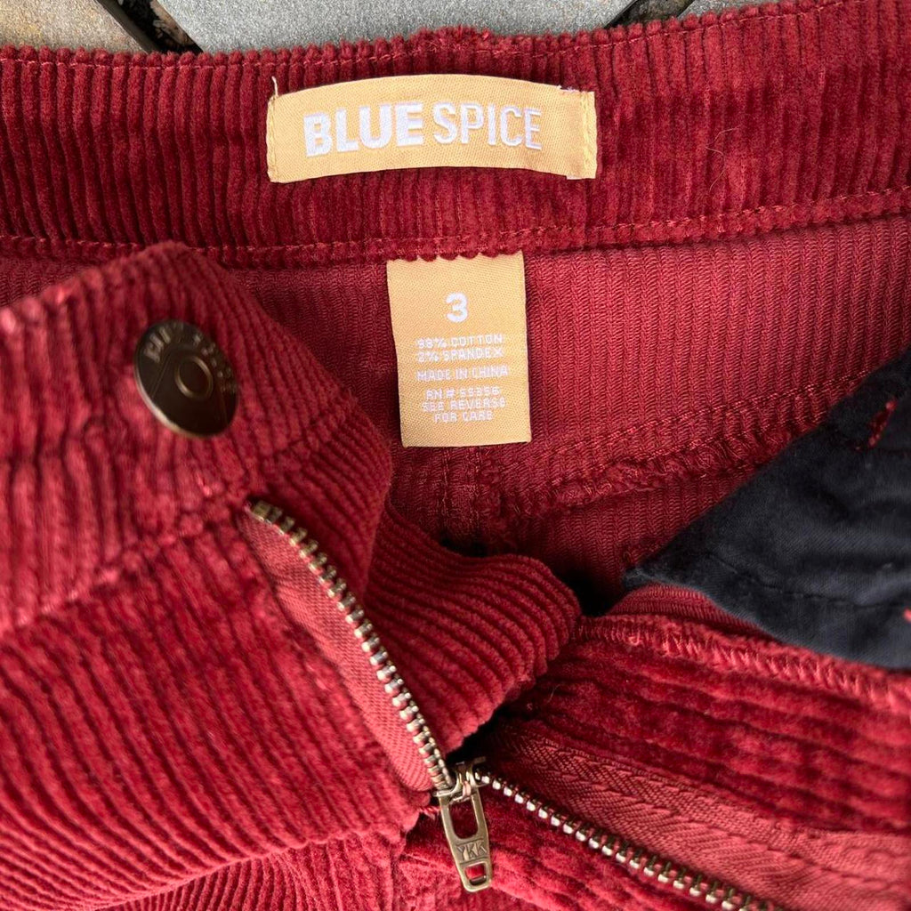Y2K Burgundy Wide Wale Corduroy Mini Skirt