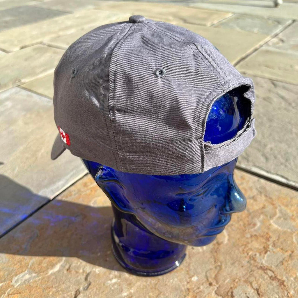 Y2K Canada Niagara Parks Embroidered Strapback Hat grey
