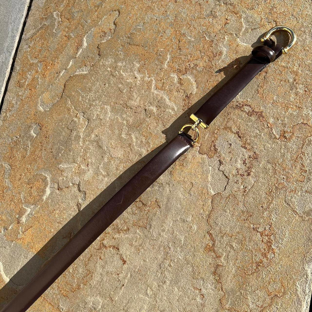 Y2K Dark Brown Leather and Gold Sectional Belt
