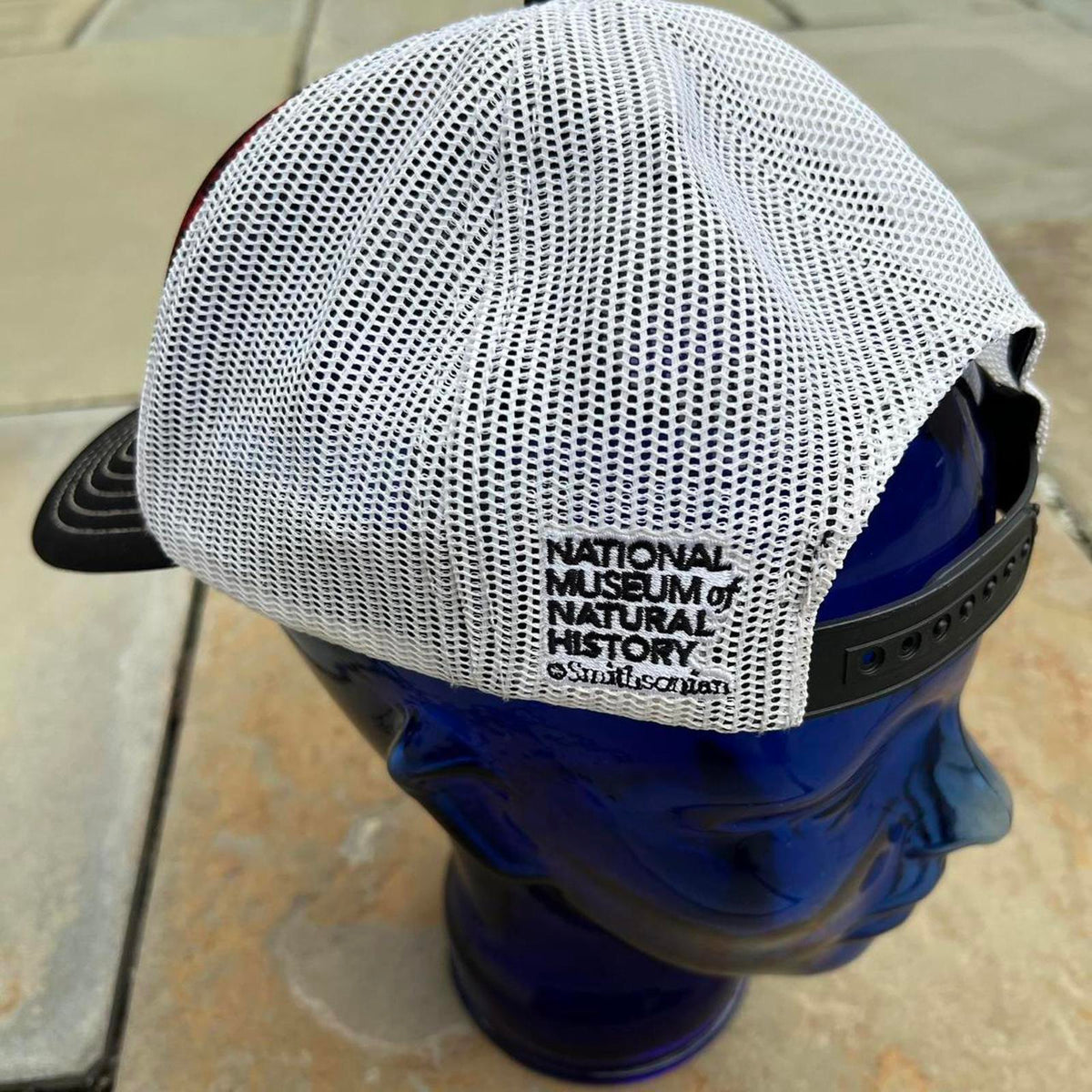 T-Rex Dinosaurs Mesh Trucker Hat