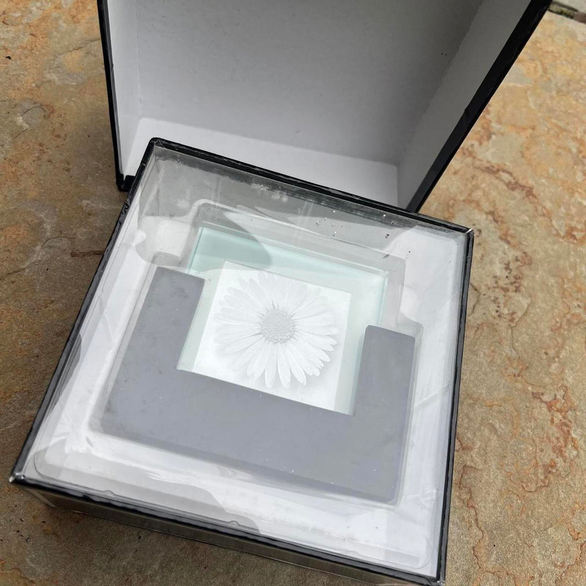 Y2K Deadstock NWT Picture Coasters