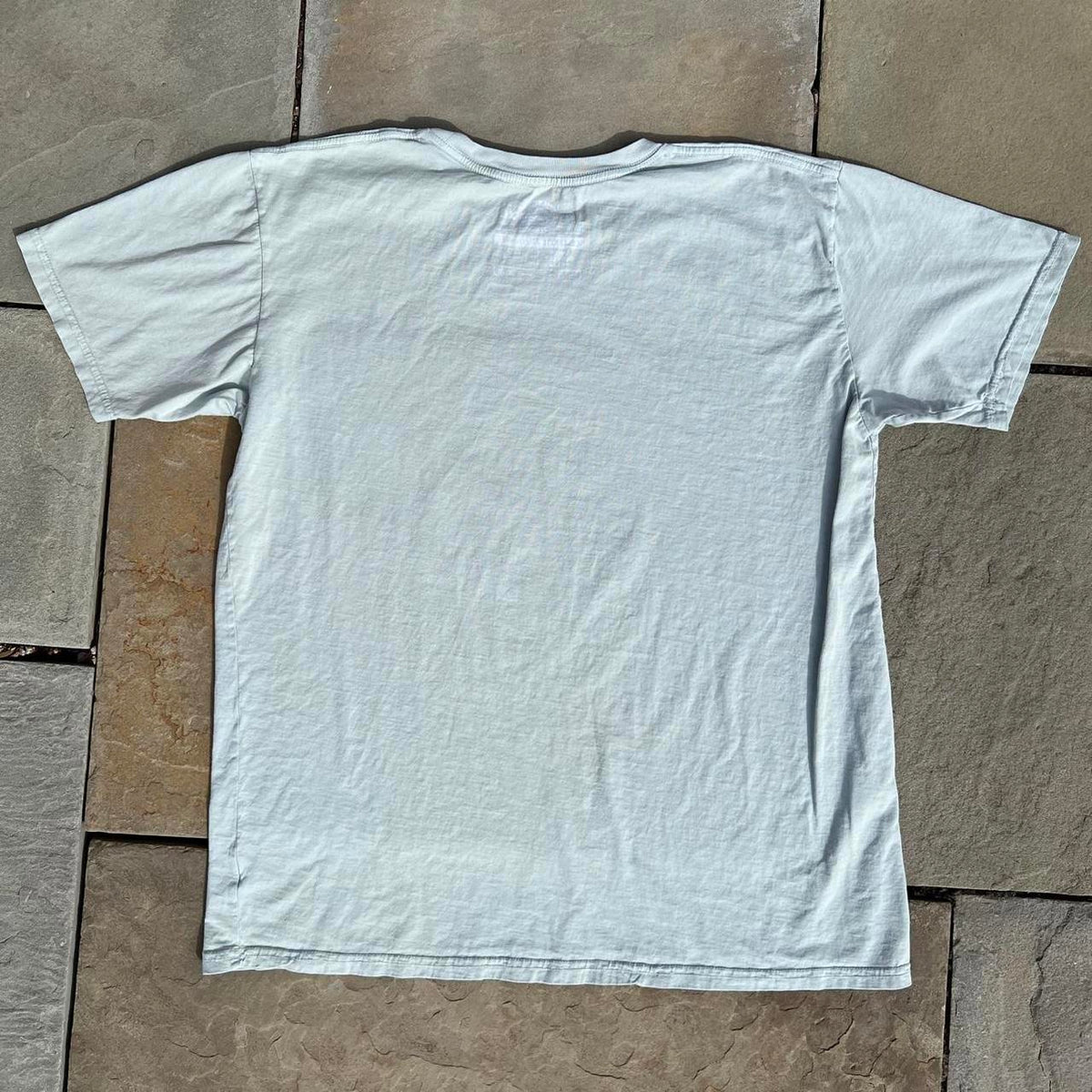 Local Pricks Sedona Arizona Cactus Sunset Light Blue T-shirt