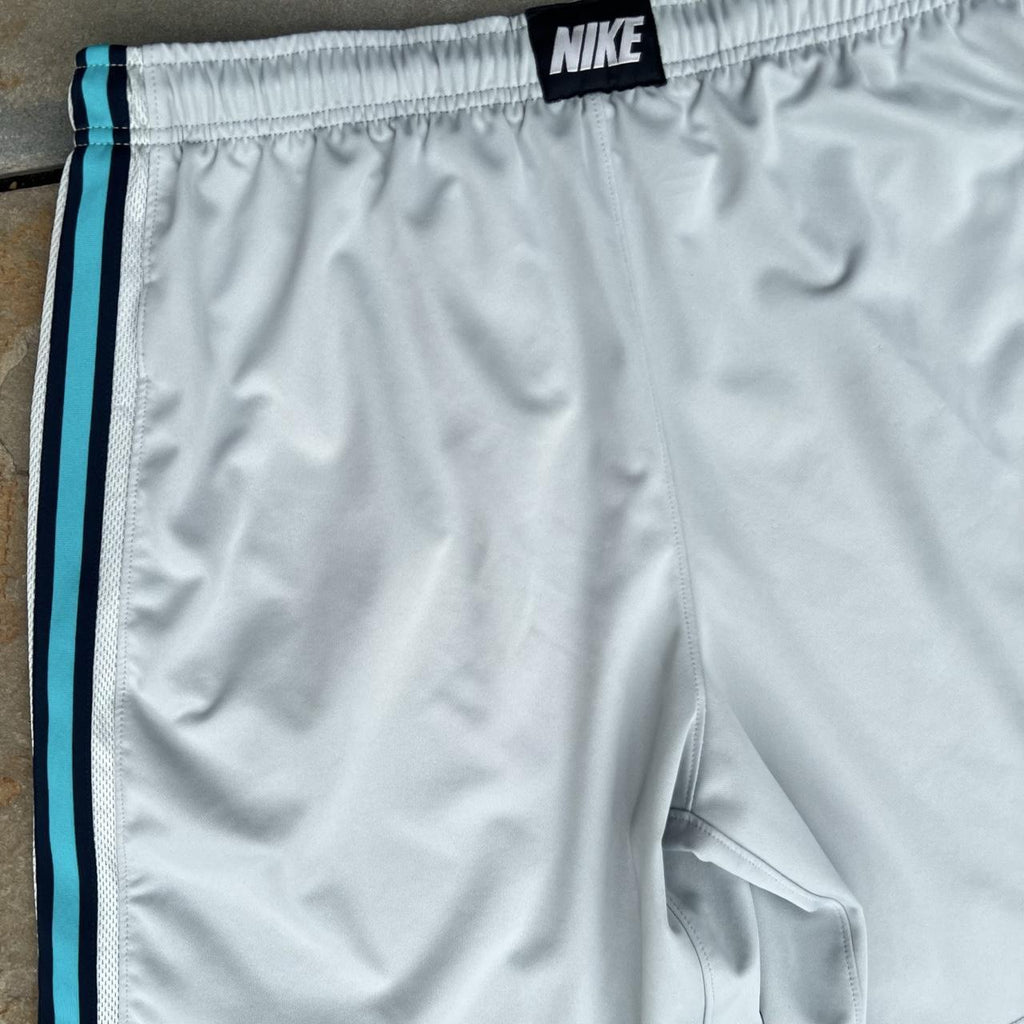 Nike Grey + Teal/Navy Vertical Stripe Workout Shorts