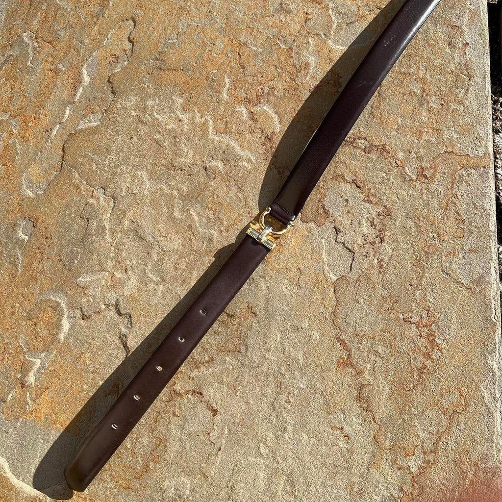 Y2K Dark Brown Leather and Gold Sectional Belt