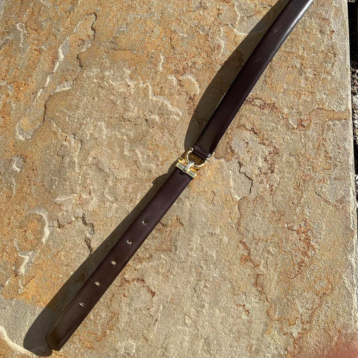 Y2K Dark Brown Leather and Gold Sectional Belt