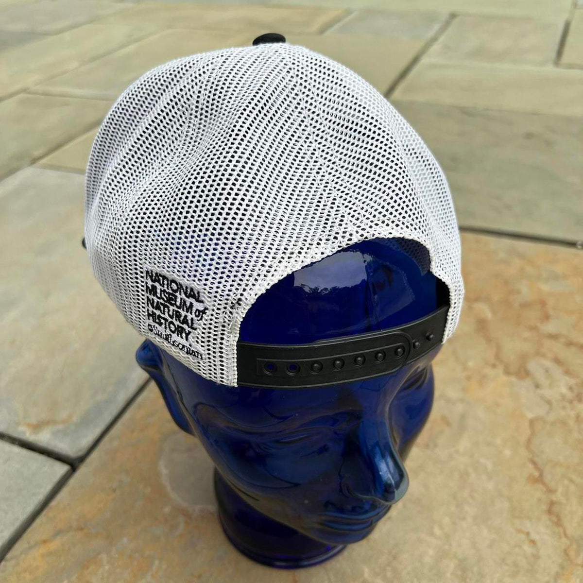 T-Rex Dinosaurs Mesh Trucker Hat
